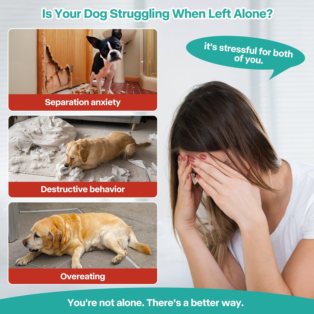 Chill Out - Lick‘A’Disk Dog Lick Mat Summer Slow Feeder for Dogs