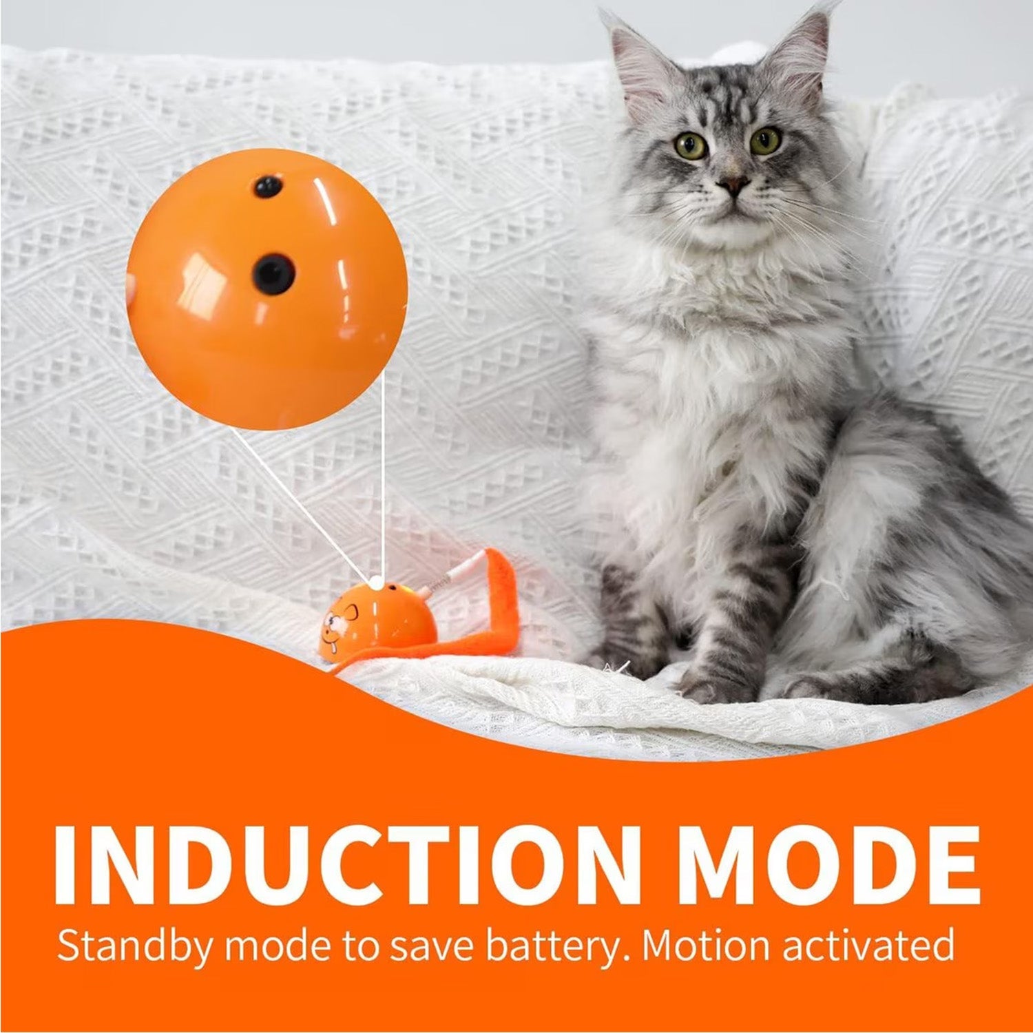 Modern Cat- Mad Mouse Cat Toy