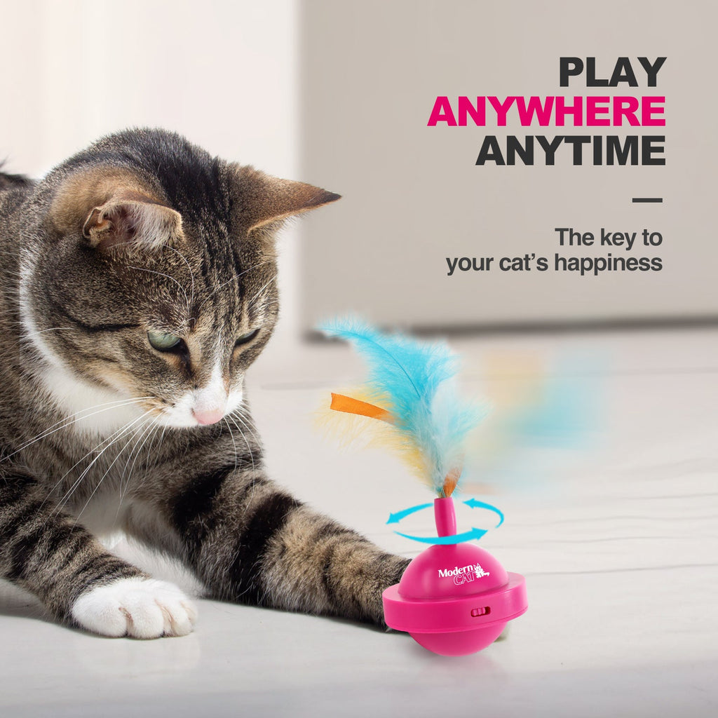 Modern Cat Spinning Teaser Toy