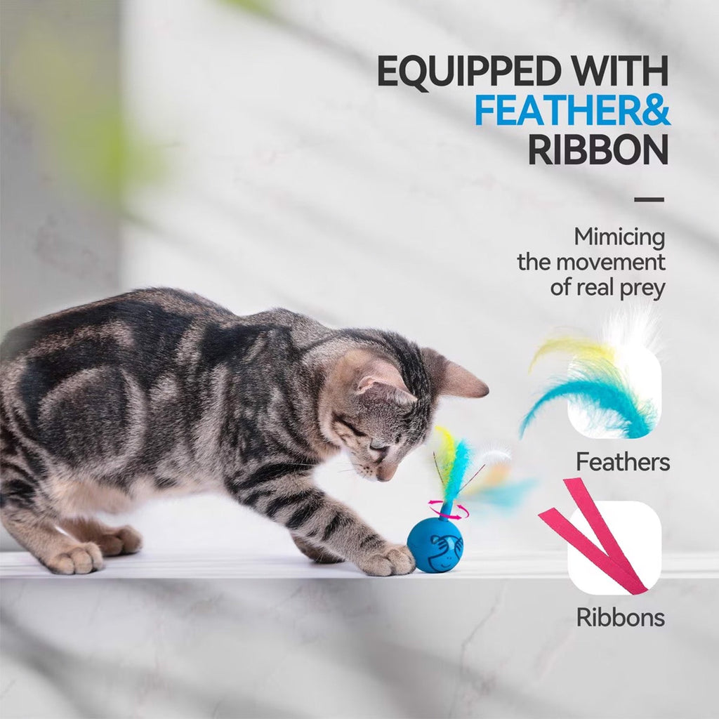 Mordern Cat - Dizzy Spinner Cat Toy