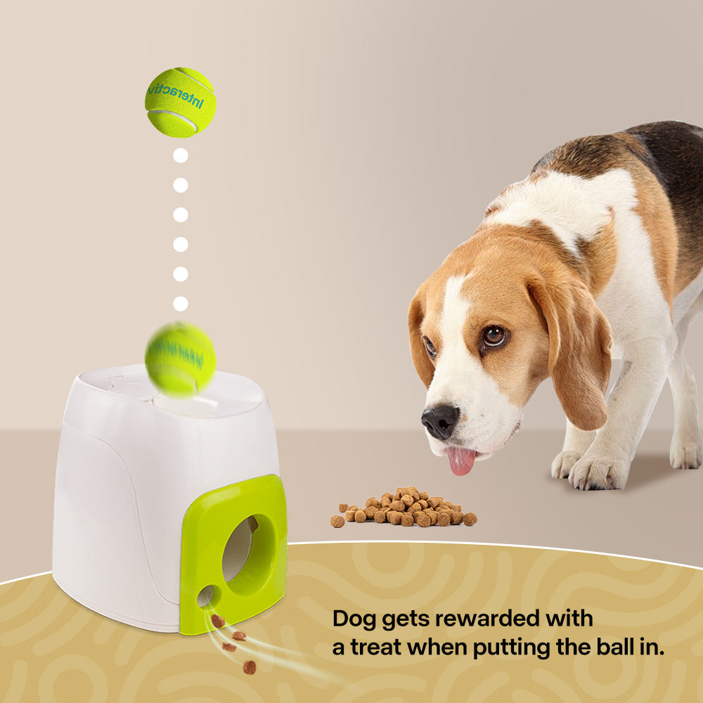 Interactive - Dog Toy - Dog Treat Rewarder