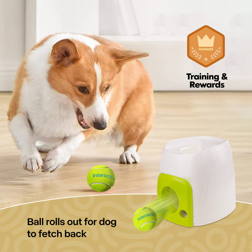 Interactive - Dog Toy - Dog Treat Rewarder