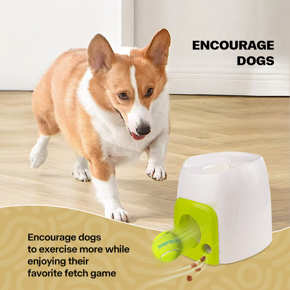 Interactive - Dog Toy - Dog Treat Rewarder