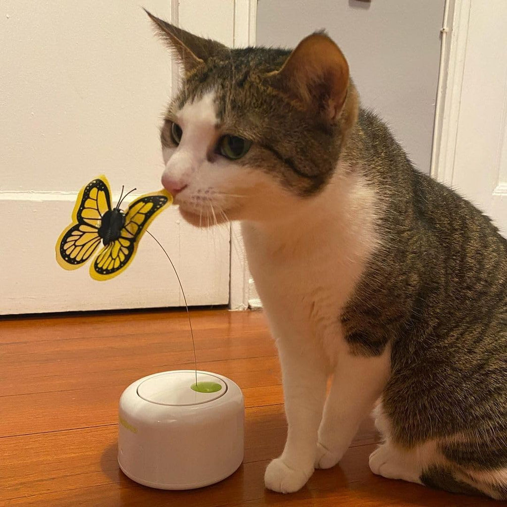 Interactives  - Motion Activate Cat Toys Butterfly Flutter Bug