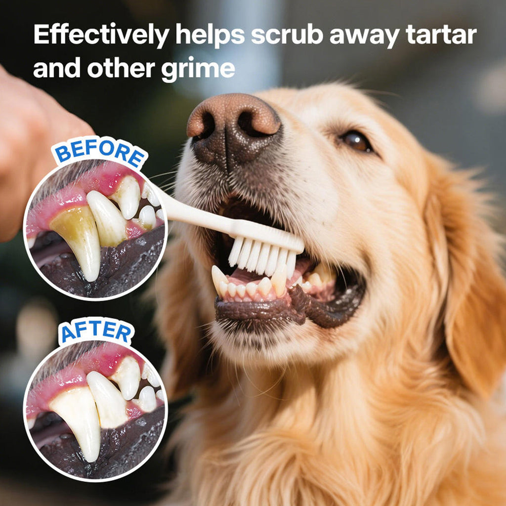 Combo Pack - Brush, Finger Brush And Peanut Butter Toothpaste