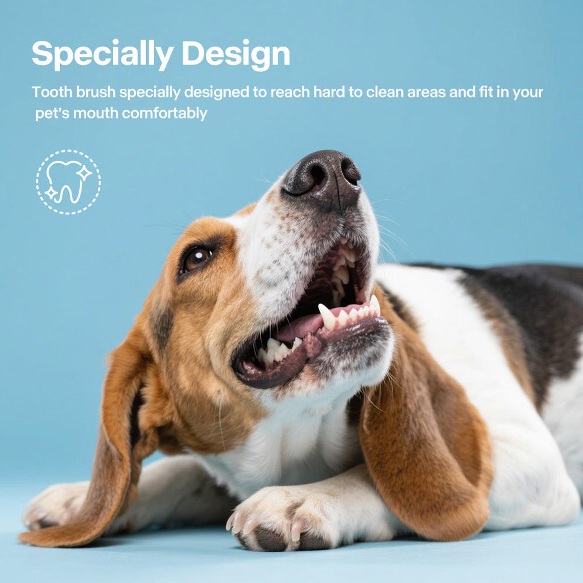 Combo Pack - Brush, Finger Brush And Peanut Butter Toothpaste