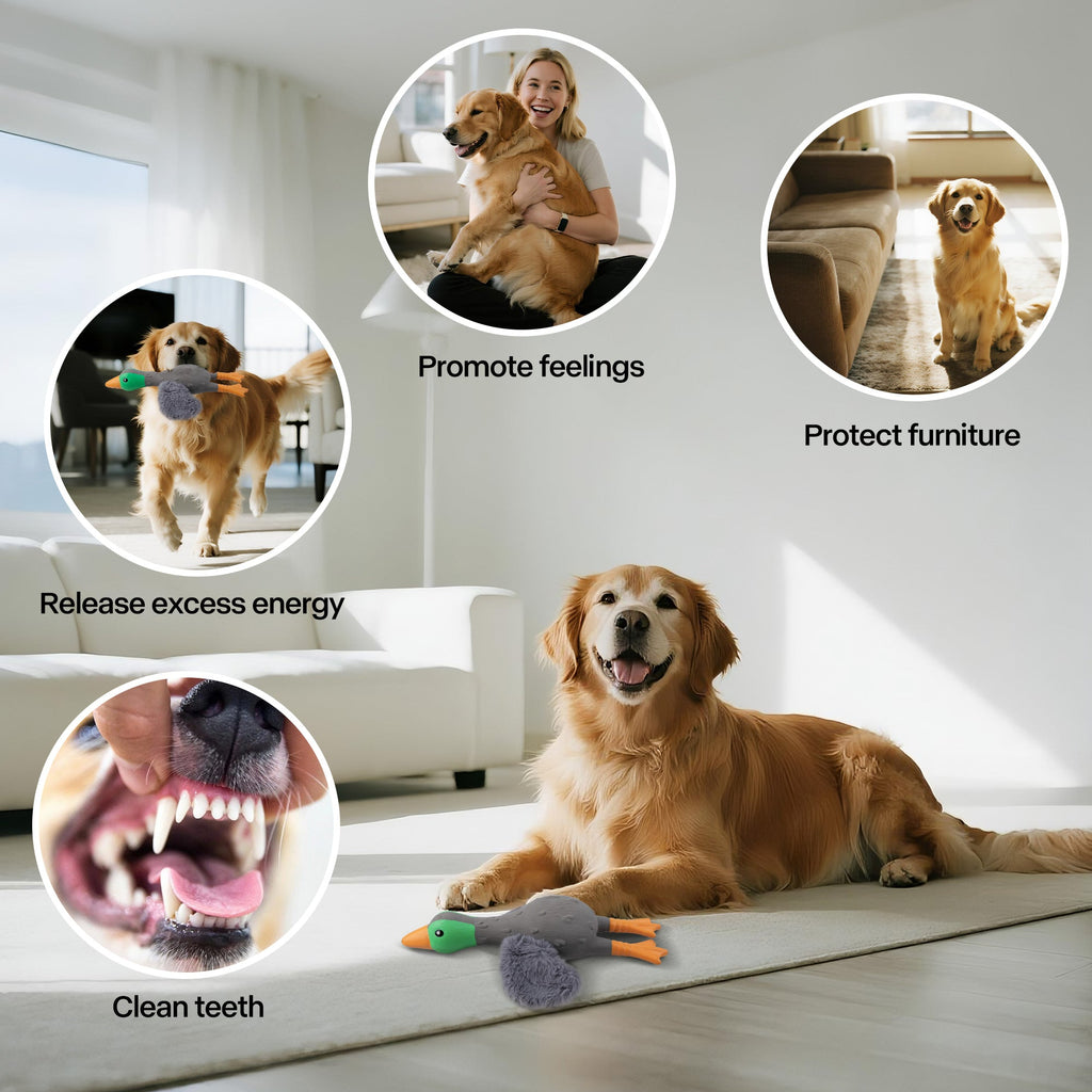 ZooTex Squeaky Latex Dog Toys - Soft Wing Mallard