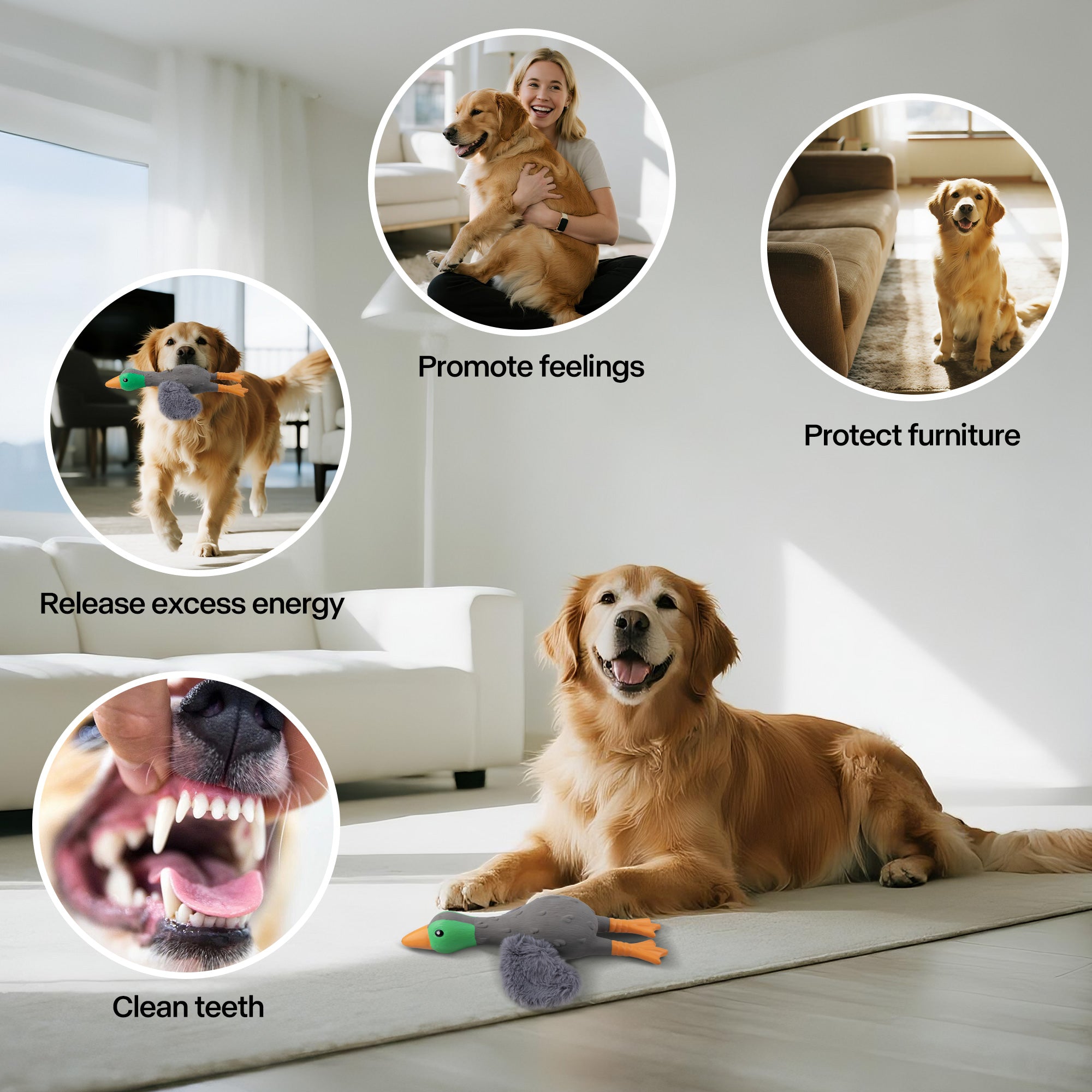 ZooTex Squeaky Latex Dog Toys - Soft Wing Mallard