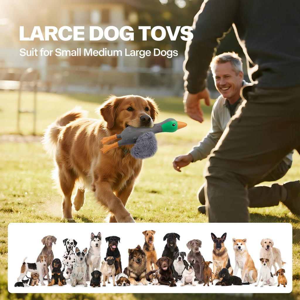 ZooTex Squeaky Latex Dog Toys - Soft Wing Mallard