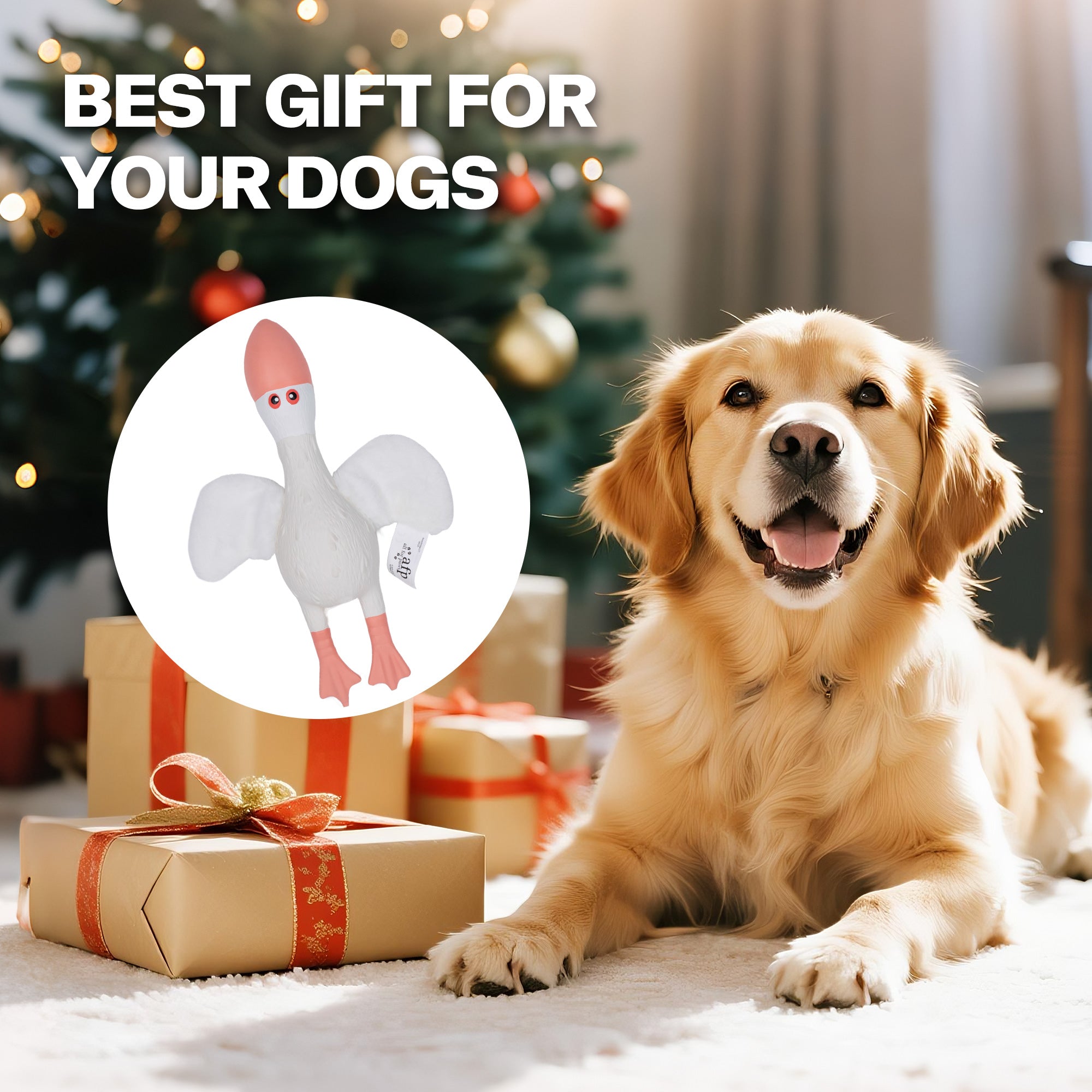 ZooTex - Squeaky Latex Dog Toys - Soft Wing Seagull