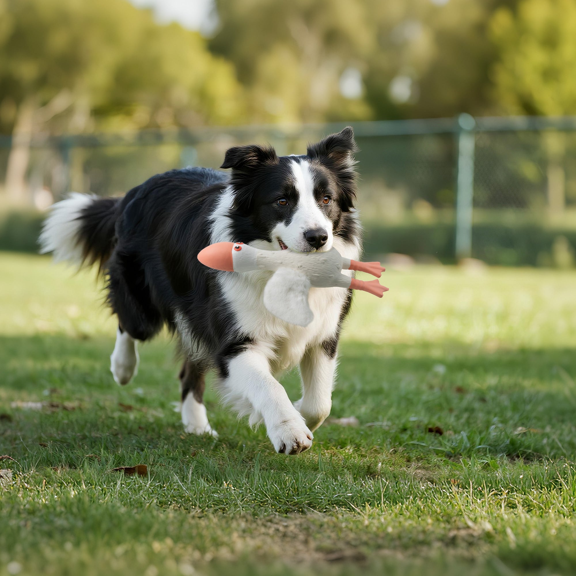 ZooTex - Squeaky Latex Dog Toys - Soft Wing Seagull