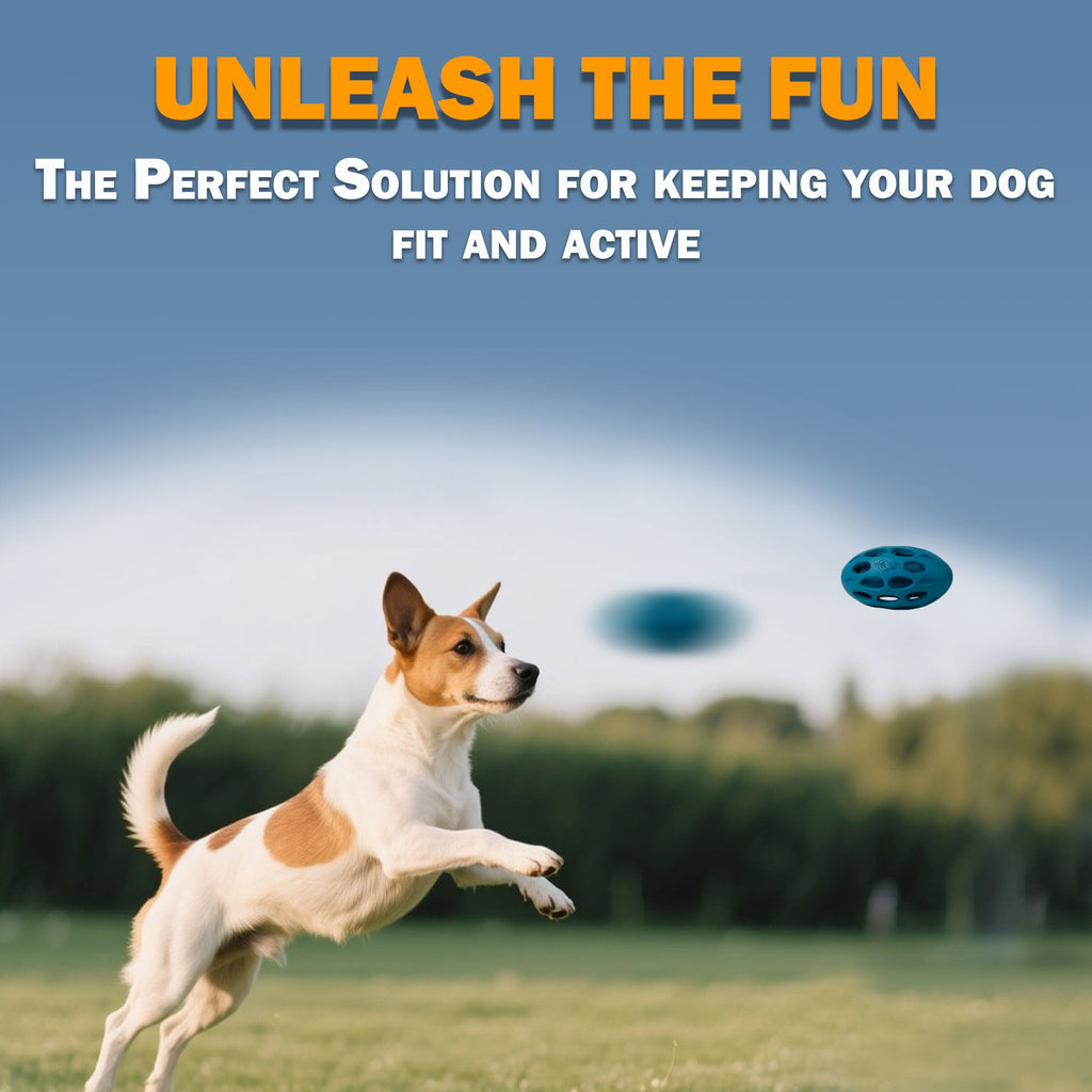 META BALL - Dog Toys - Wiggle Holey Rubber Roller