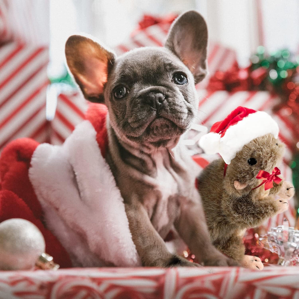 Classic Dog Toys - Squeaky Dog Squirrel Toys for Dogs