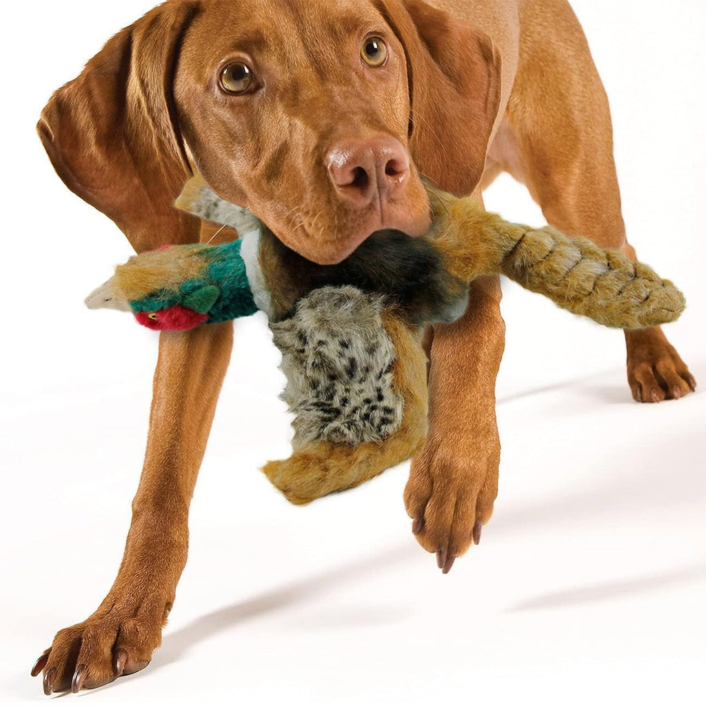 Classic - Dog Toys - Squeaky Dog Pheasant Toys for Dogs