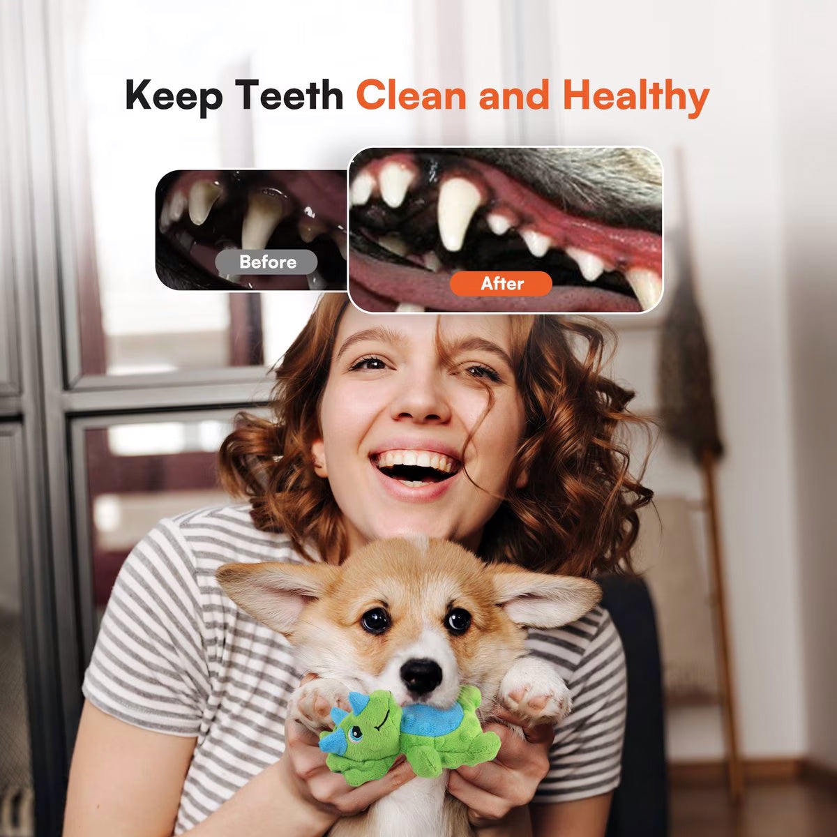 My T-Rex - Squeaky Dog Toys - Thomas The Mini Triceratops Plush Dog Toy with Crinkle Paper - S