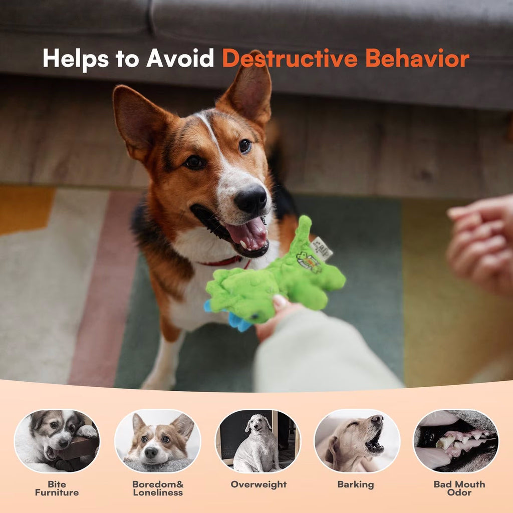 My T-Rex - Squeaky Dog Toys - Thomas The Mini Triceratops Plush Dog Toy with Crinkle Paper - S