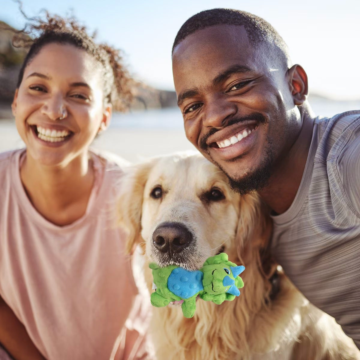 My T-Rex - Squeaky Dog Toys - Thomas The Mini Triceratops Plush Dog Toy with Crinkle Paper - S