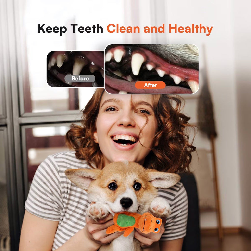 My T-Rex - Squeaky Dog Toys - Tim The Mini T-Rex Plush Dog Toy with Crinkle Paper - S