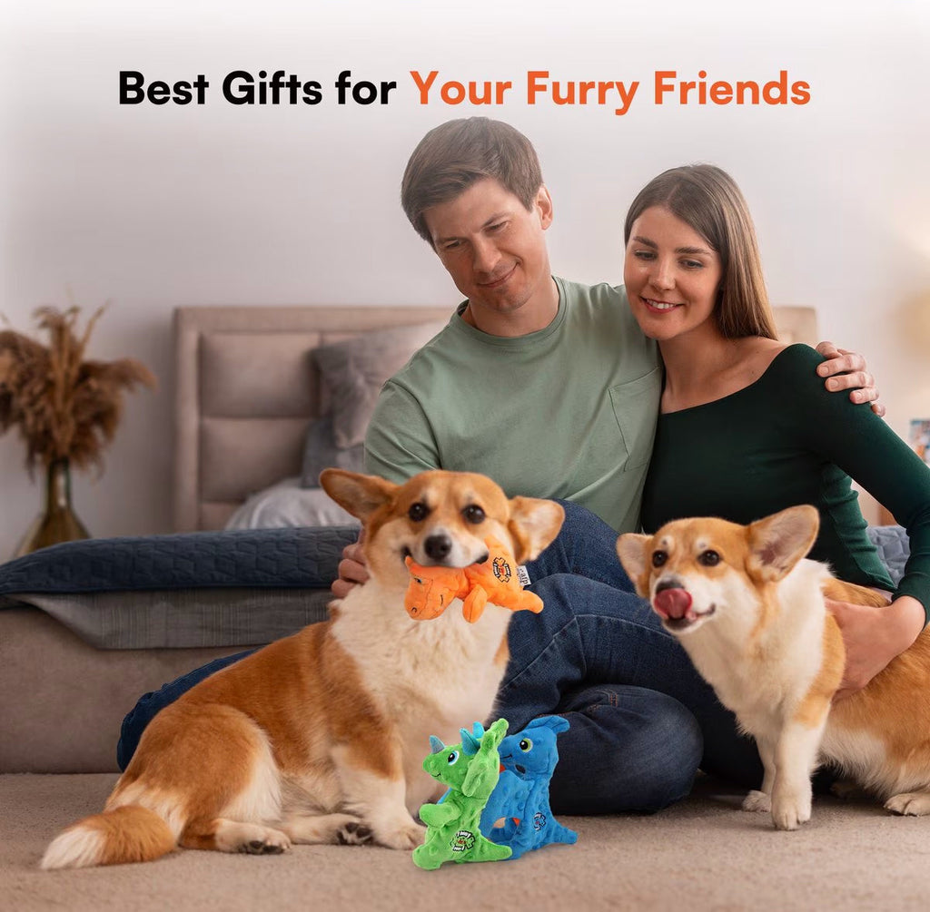 My T-Rex - Squeaky Dog Toys - Tim The Mini T-Rex Plush Dog Toy with Crinkle Paper - S