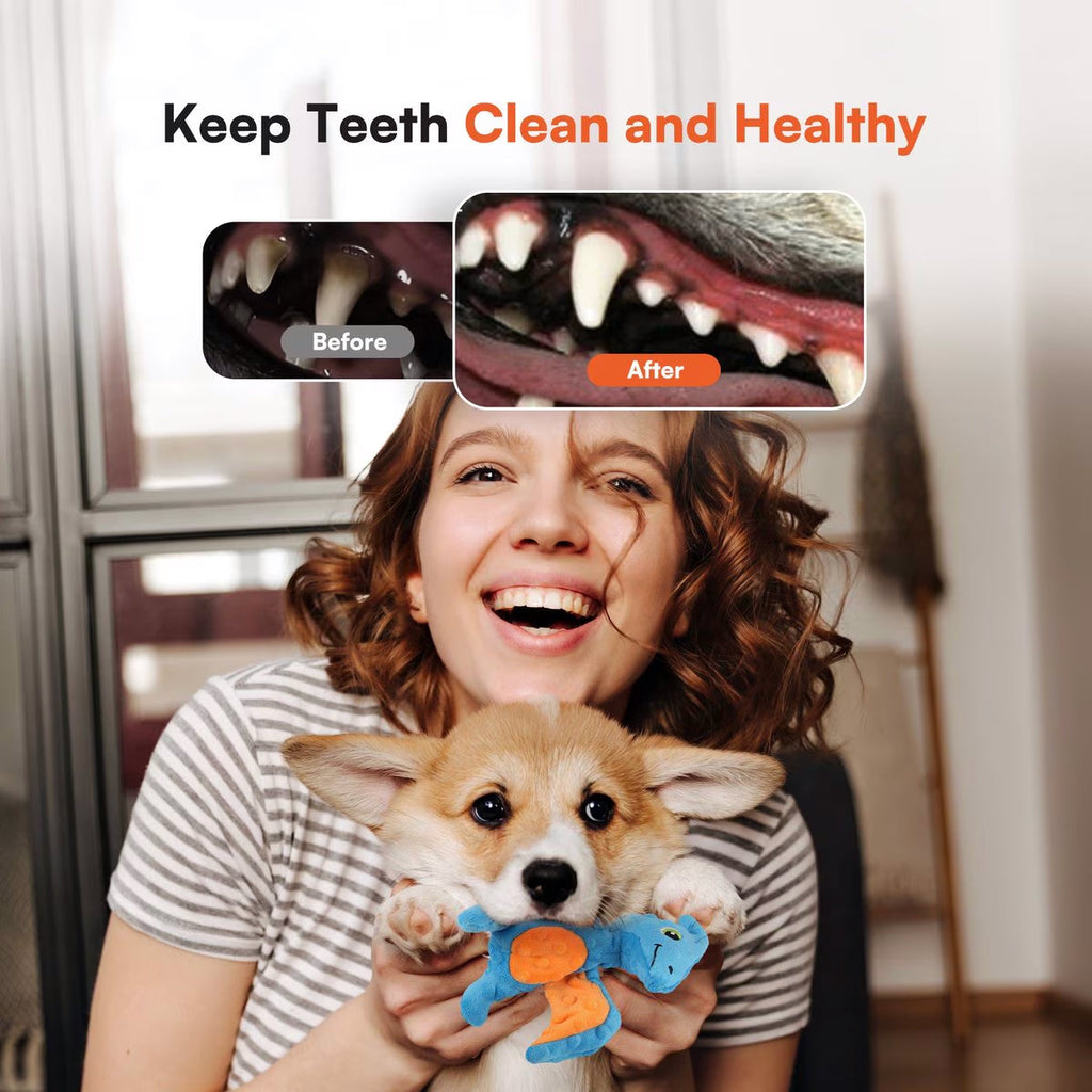 My T-Rex - Squeaky Dog Toys - Peter The Mini Pterodactyl Plush Dog Toy with Crinkle Paper - S