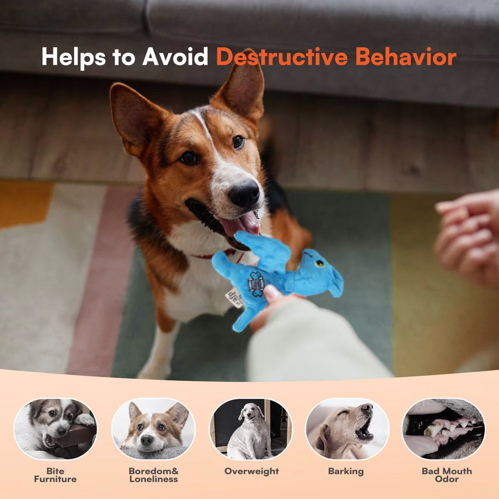 My T-Rex - Squeaky Dog Toys - Peter The Mini Pterodactyl Plush Dog Toy with Crinkle Paper - S