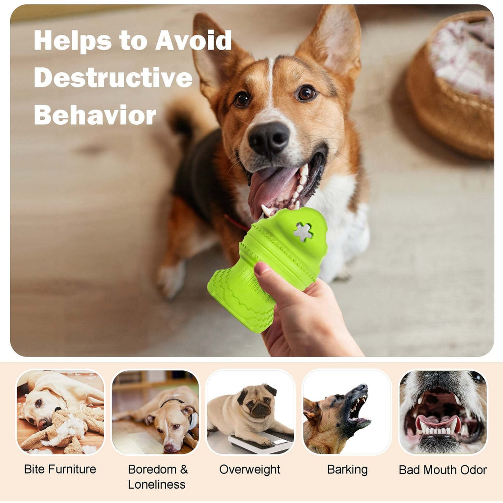 Xtra-R-Xtra-R Octo Dog Chew Toy