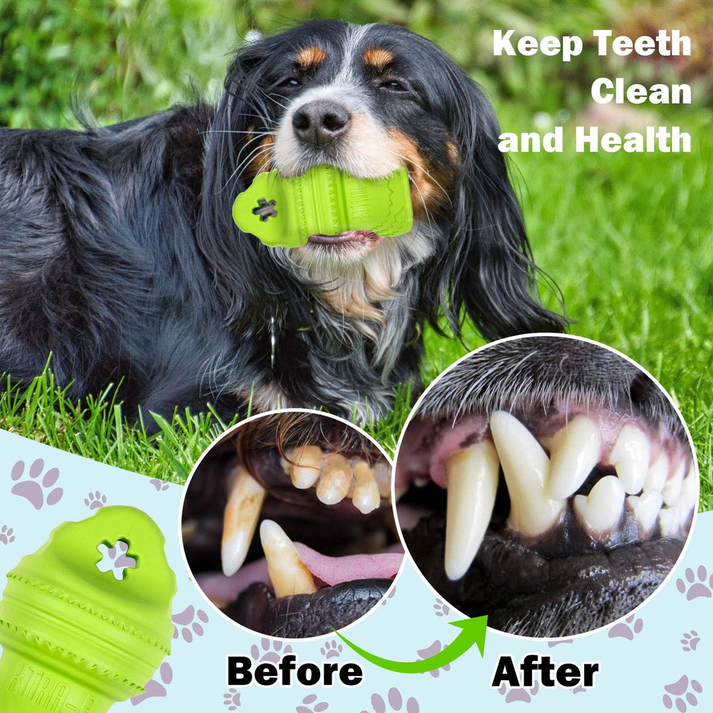 Xtra-R-Xtra-R Octo Dog Chew Toy