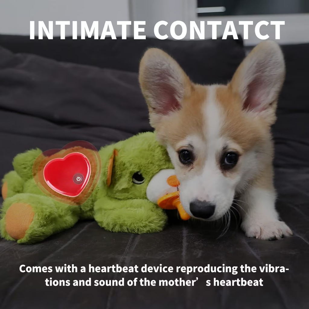 Pups- Puppy Soothing Heartbeat Warm Bear Comfort Dog Sleep Aid Plush Toy - Pacifier Buddy