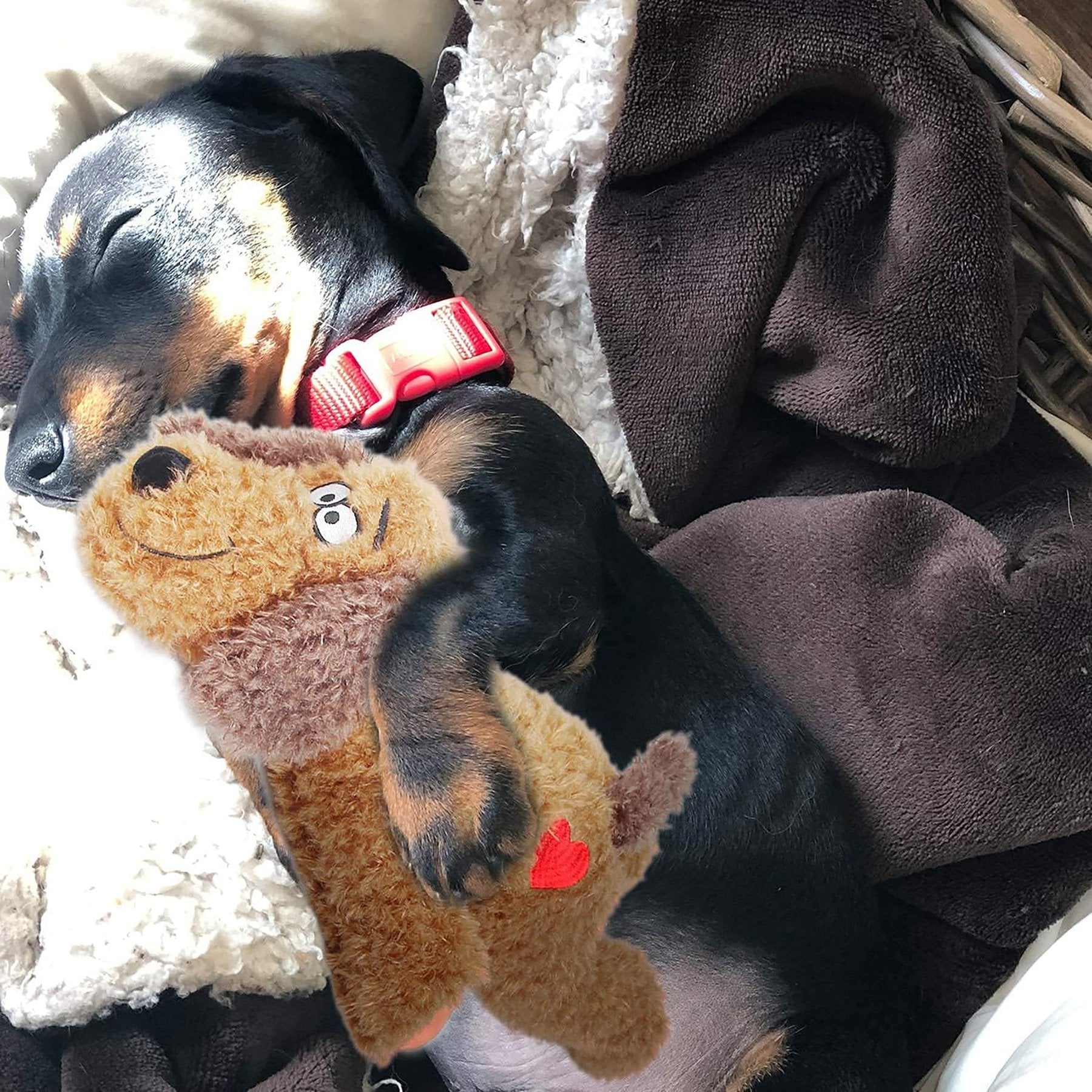 Calming Pals-Dog Toy Anti Anxiety Plush Buddy