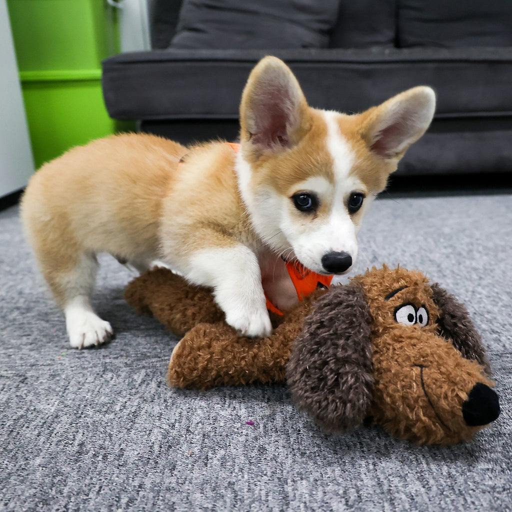 Calming Pals-Dog Toy Anti Anxiety Plush Buddy