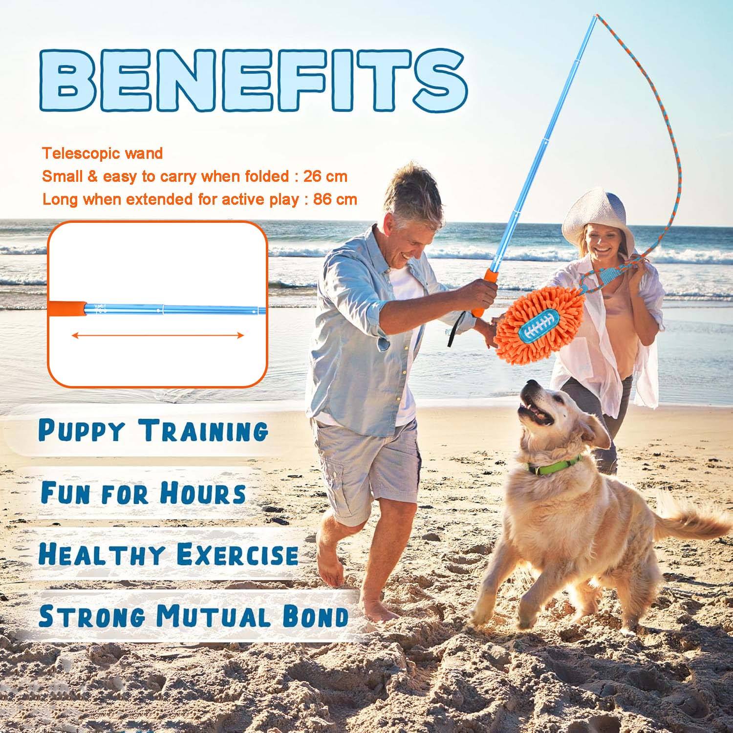 Wow Play - Dog Flirt Pole with American Football & Rope Tail Toys