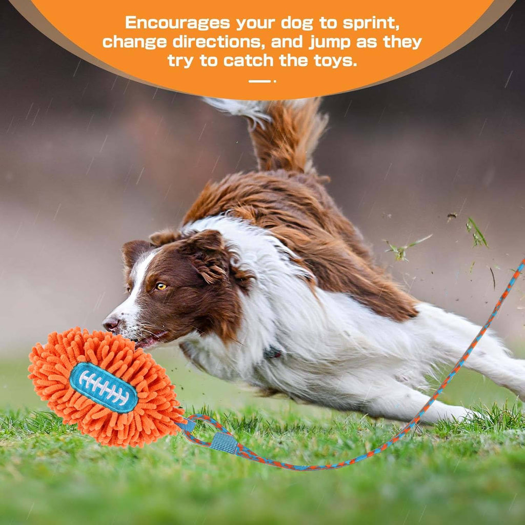Wow Play - Dog Flirt Pole with American Football & Rope Tail Toys