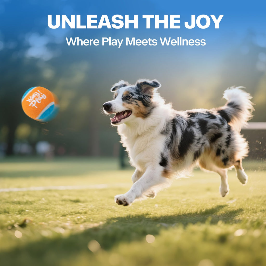 Wow Play - Doy Toy Tennis Ball Blaster - 45 ft