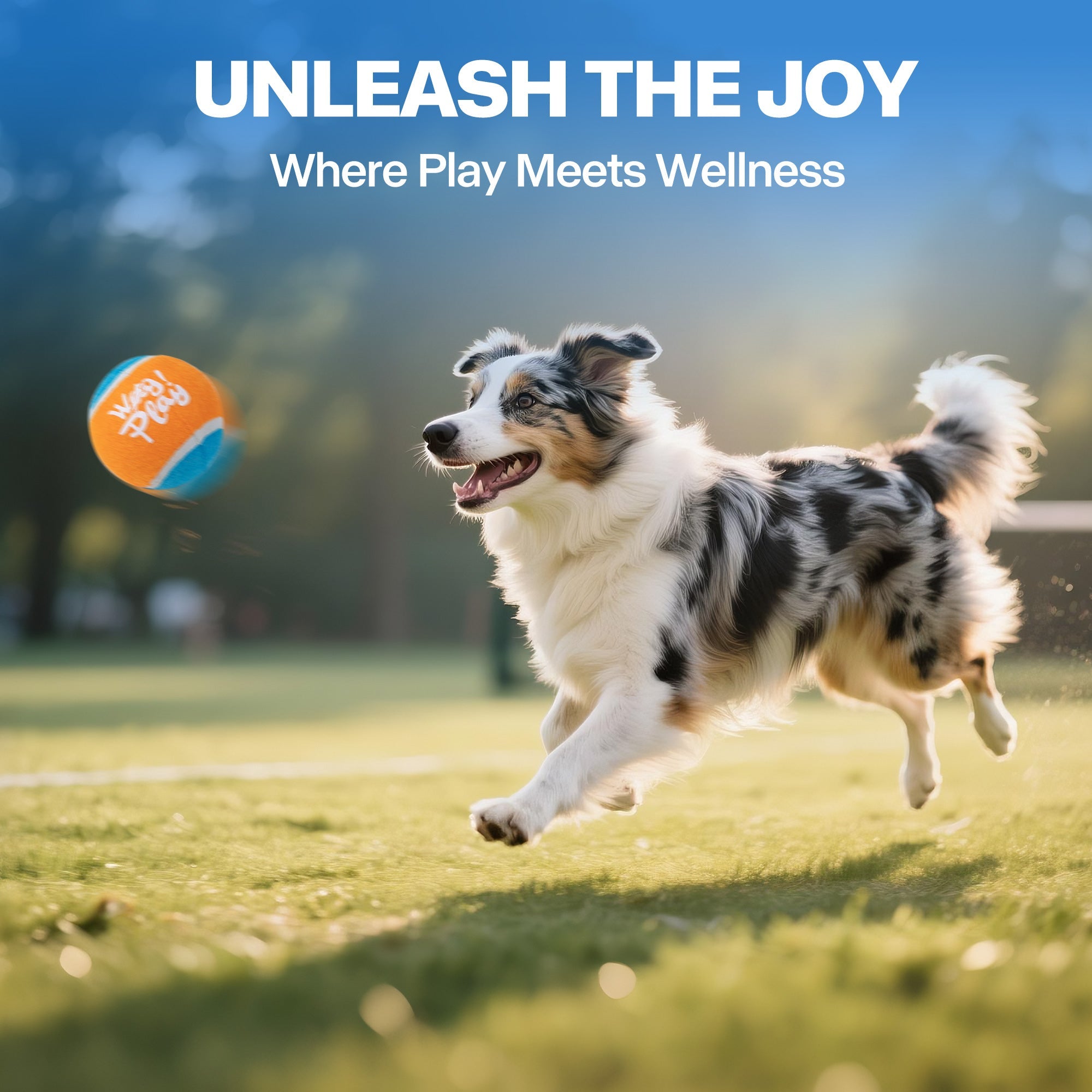 Wow Play - Doy Toy Tennis Ball Blaster - 45 ft