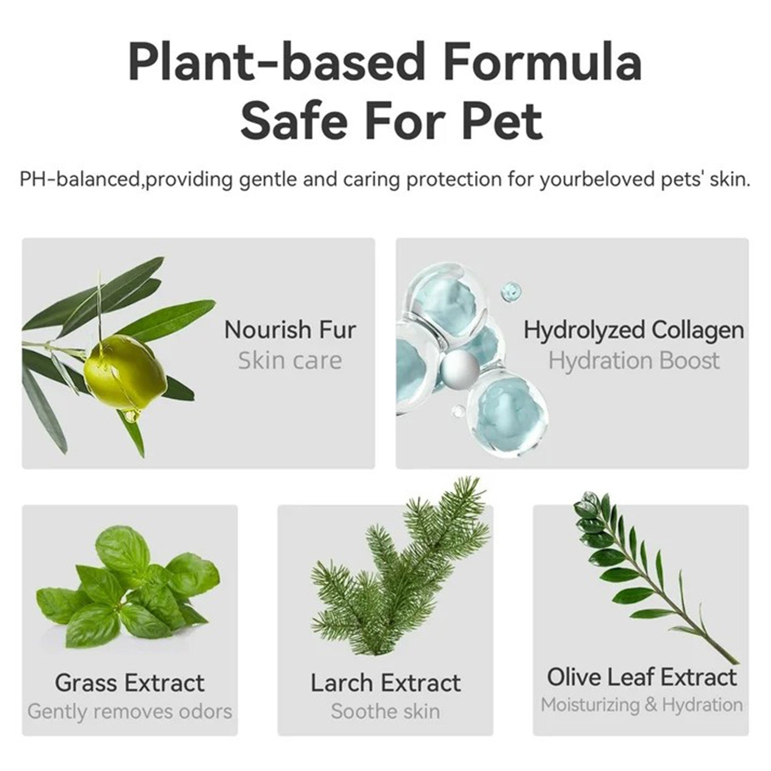 Natural Pet Grooming Wipes for Dogs & Cats - 50 counts/pack, Fresh Larch Scent