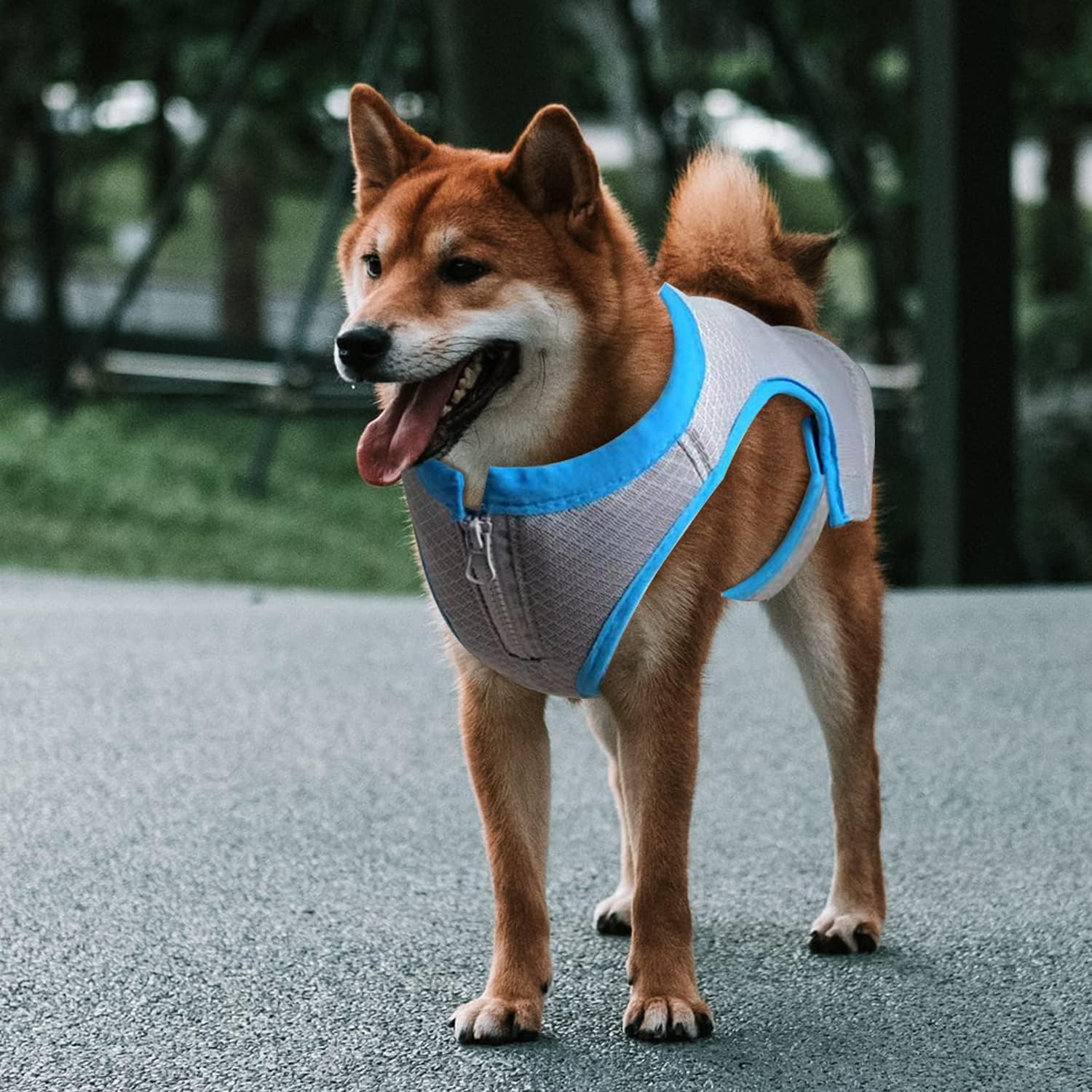 Chill Out - Summer Cooling Vest for Dogs