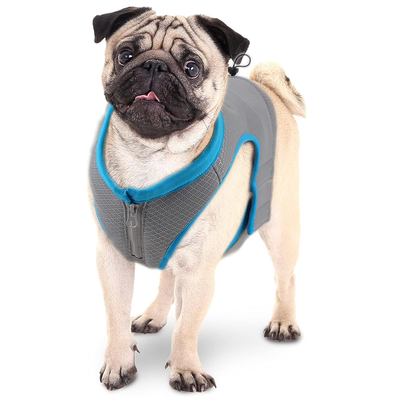 Chill Out - Summer Cooling Vest for Dogs