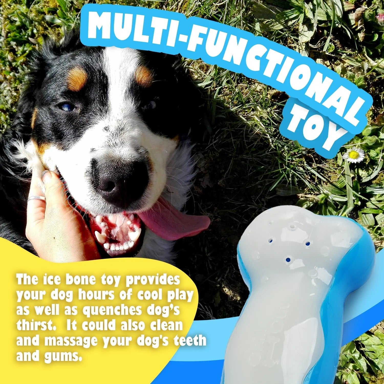 Chill Out - Bite Resistance Dog Cooling Chew Toy for Summer Ice Bone