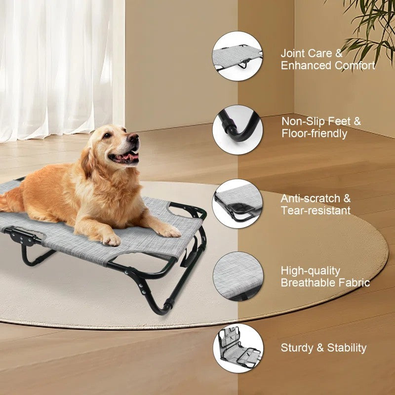 Elevated Dog Bed - Foldable Pet Beds with No Assembly for Indoor & Outdoor Use
