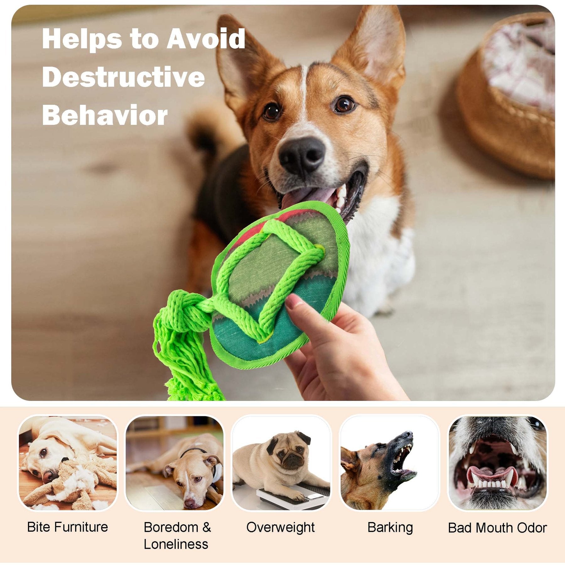 Dog Fetch Toy - Rope Tangle Tangle Disc