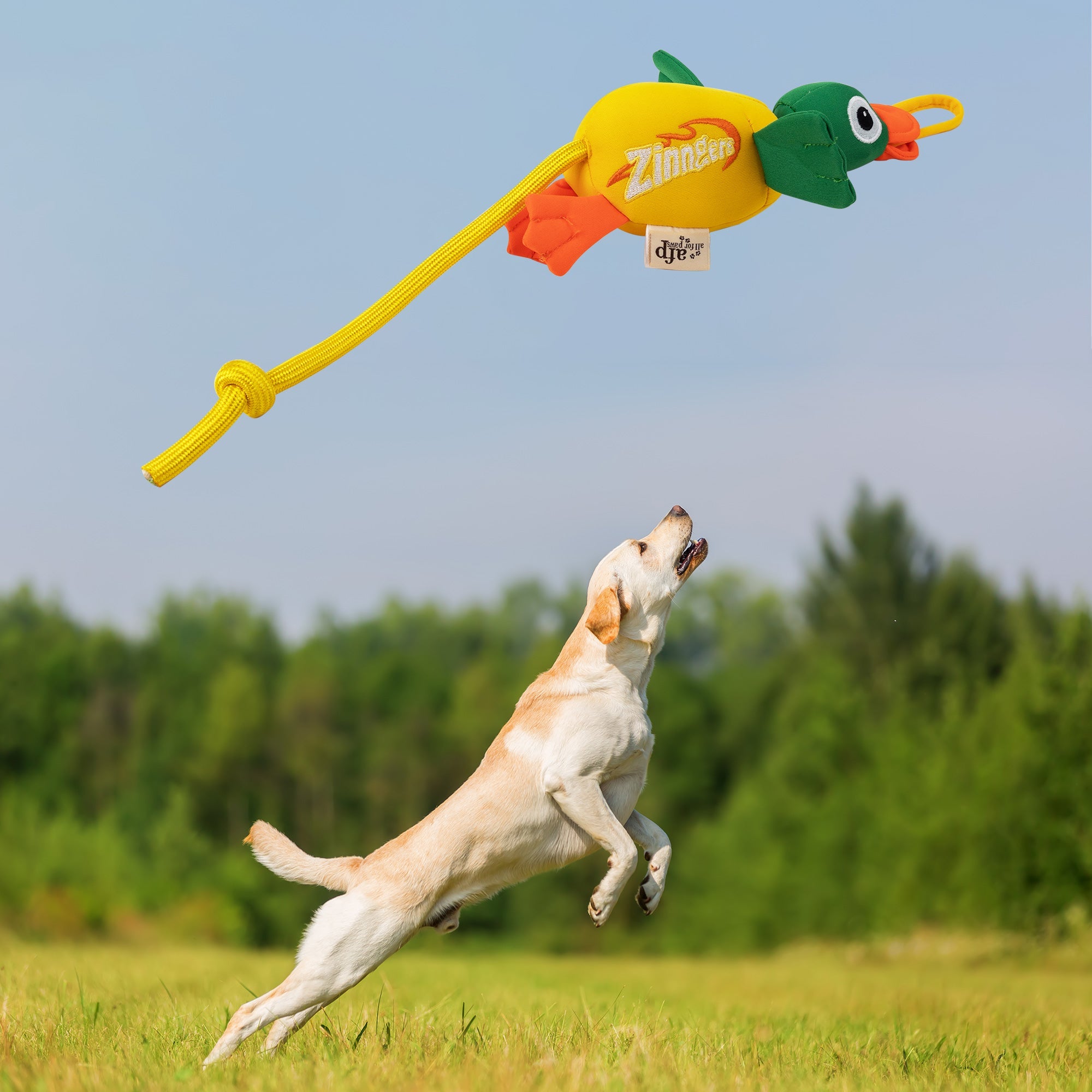Chill Out - Dog fetch toy - Flying Mallard