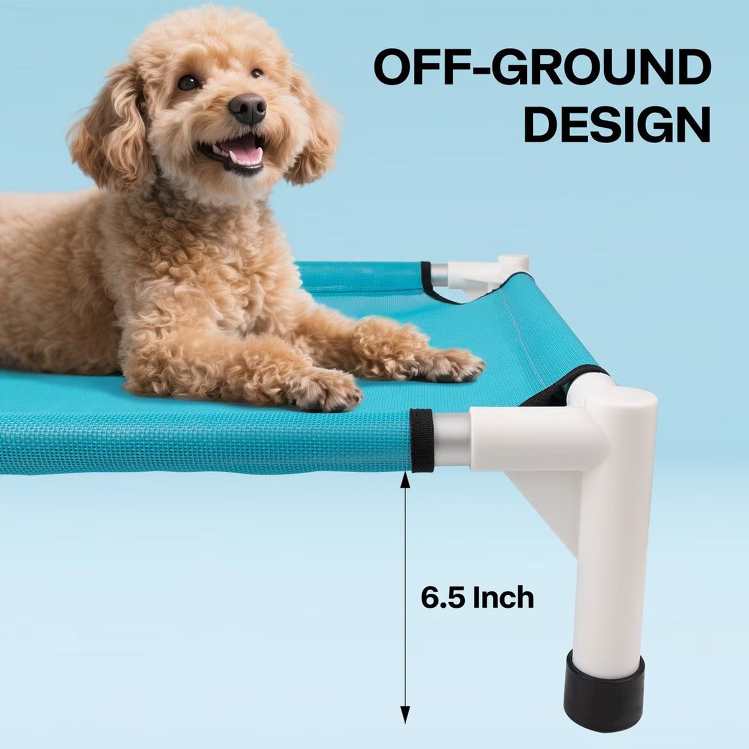 Chill Out - Sprinkling Pet Cot for Summer