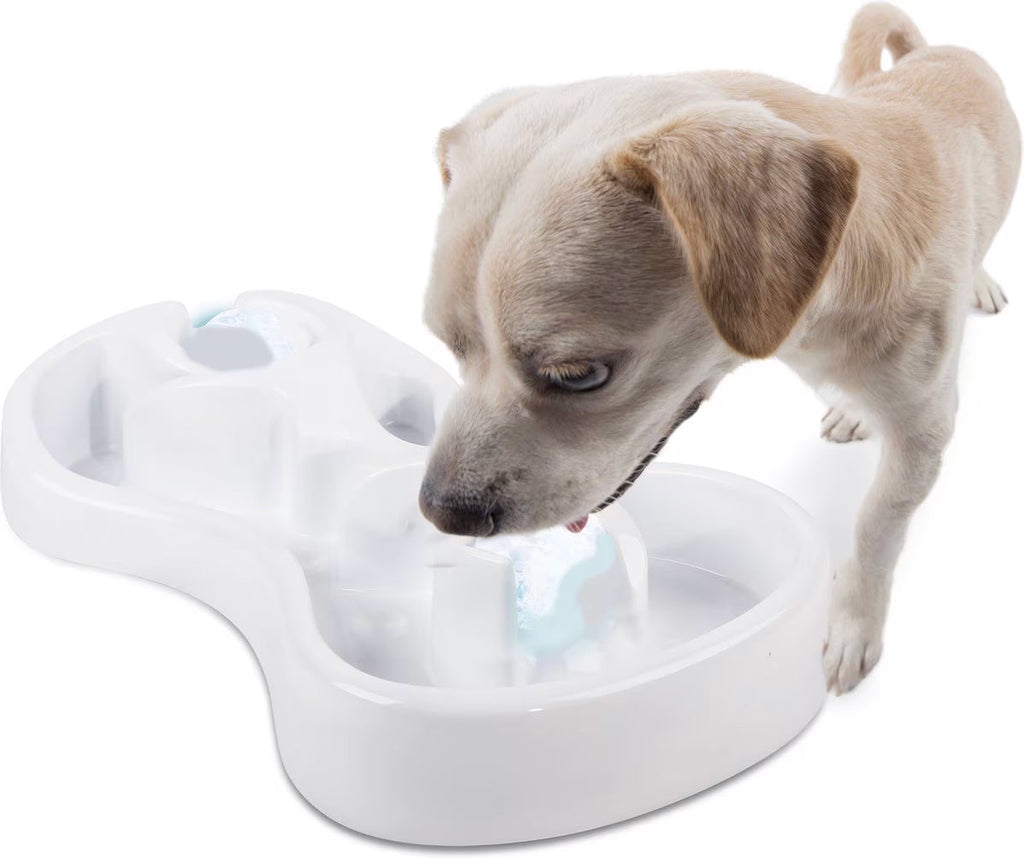 Chill Out - Doy Bowl - Cooling Feast Dog Bowl