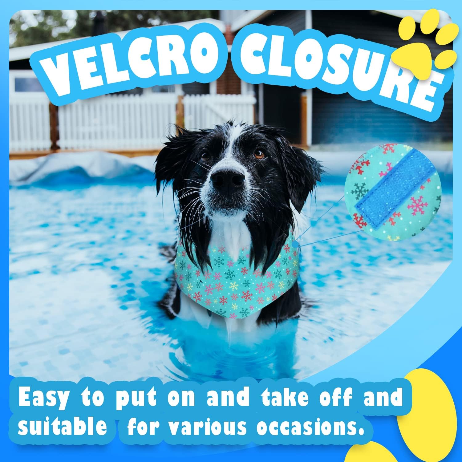 Chill-Out - Cooling Pet Bandana
