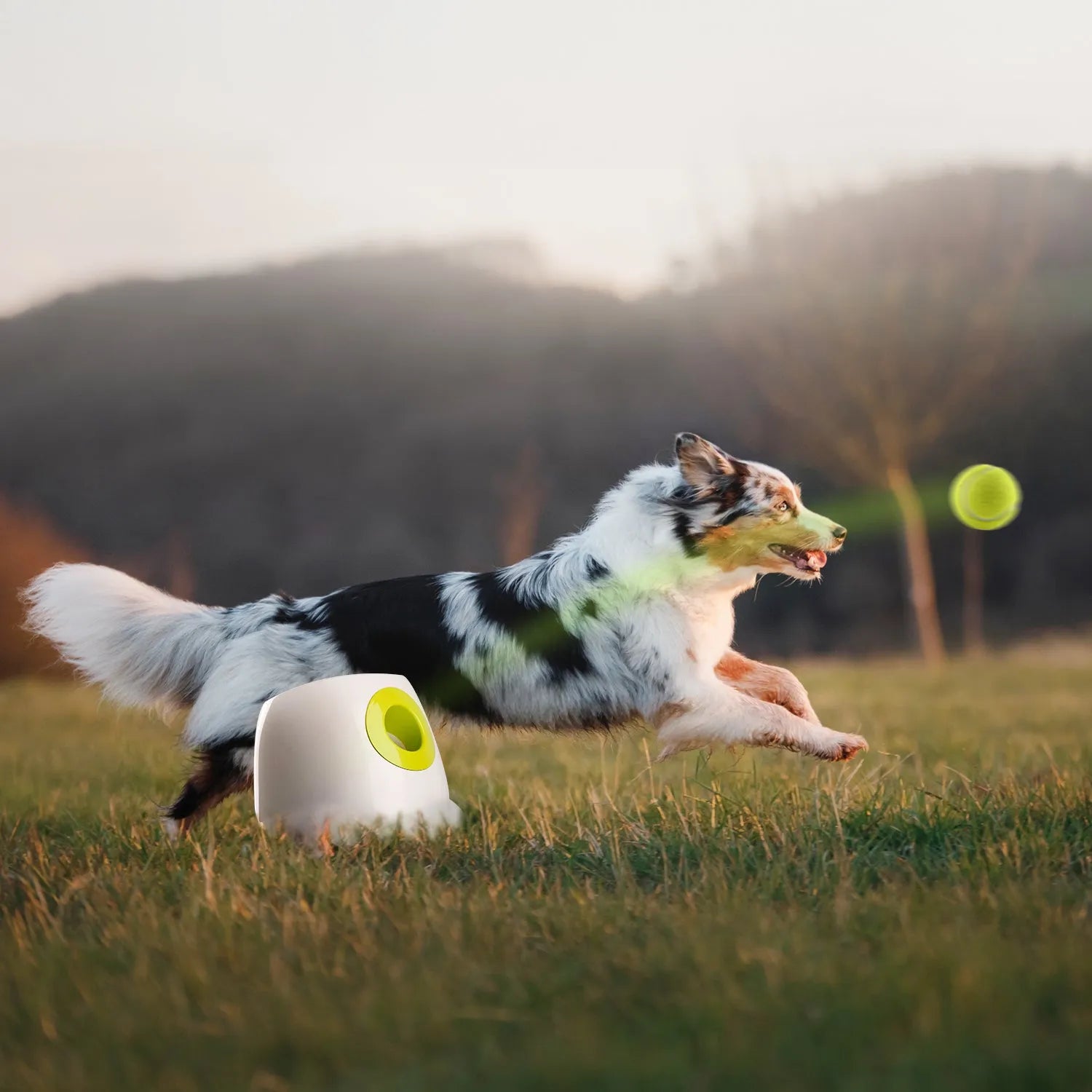 Maxi Hyper Fetch Automatic Ball Launcher For Large Dogs
