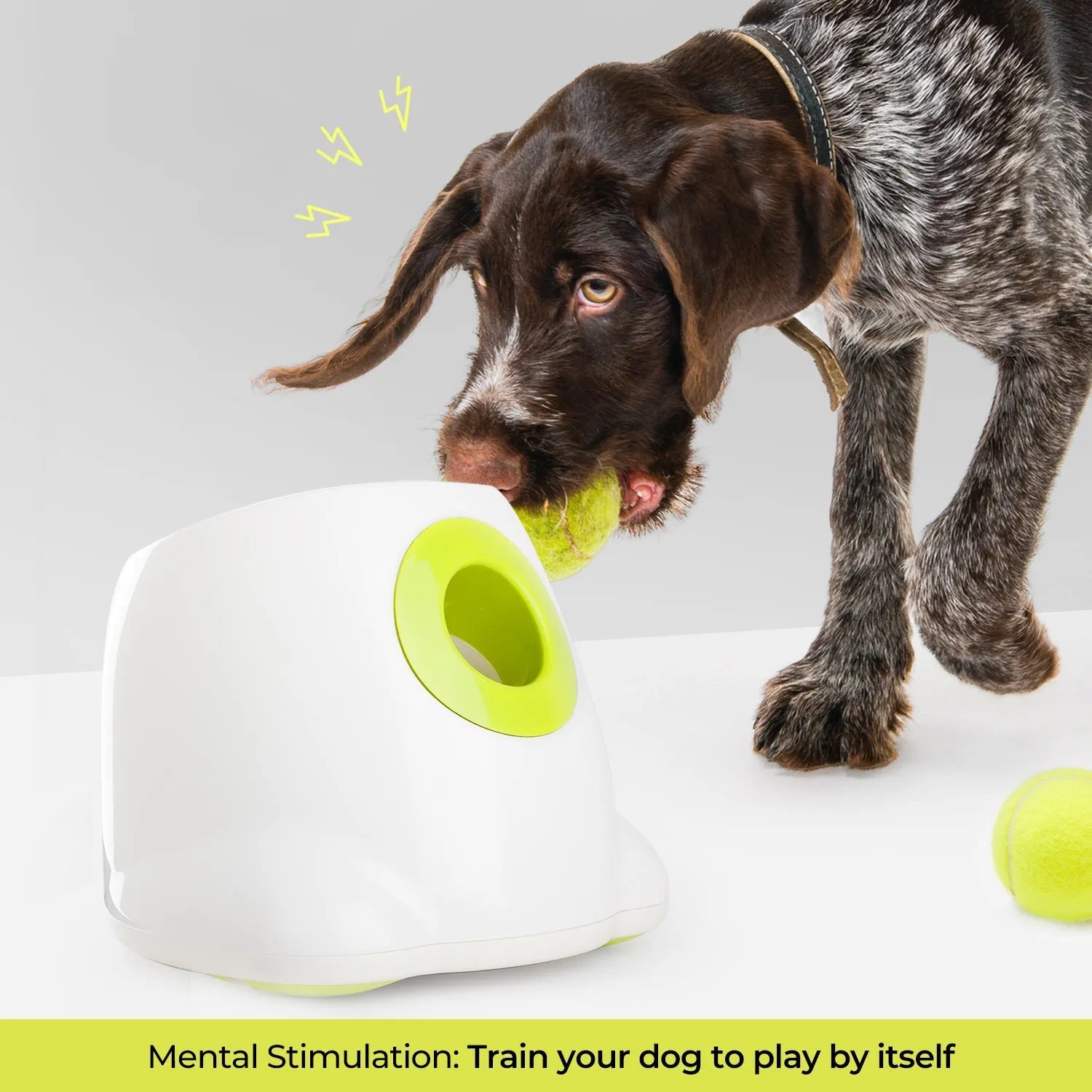 Maxi Hyper Fetch Automatic Ball Launcher For Large Dogs
