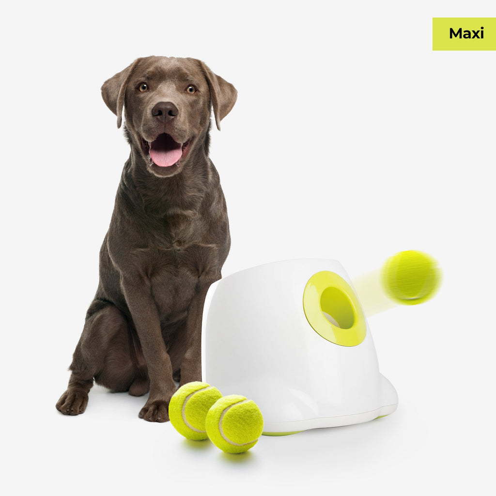 Maxi Hyper Fetch Automatic Ball Launcher For Large Dogs