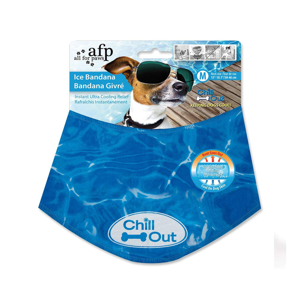 Chill-Out Bandana
