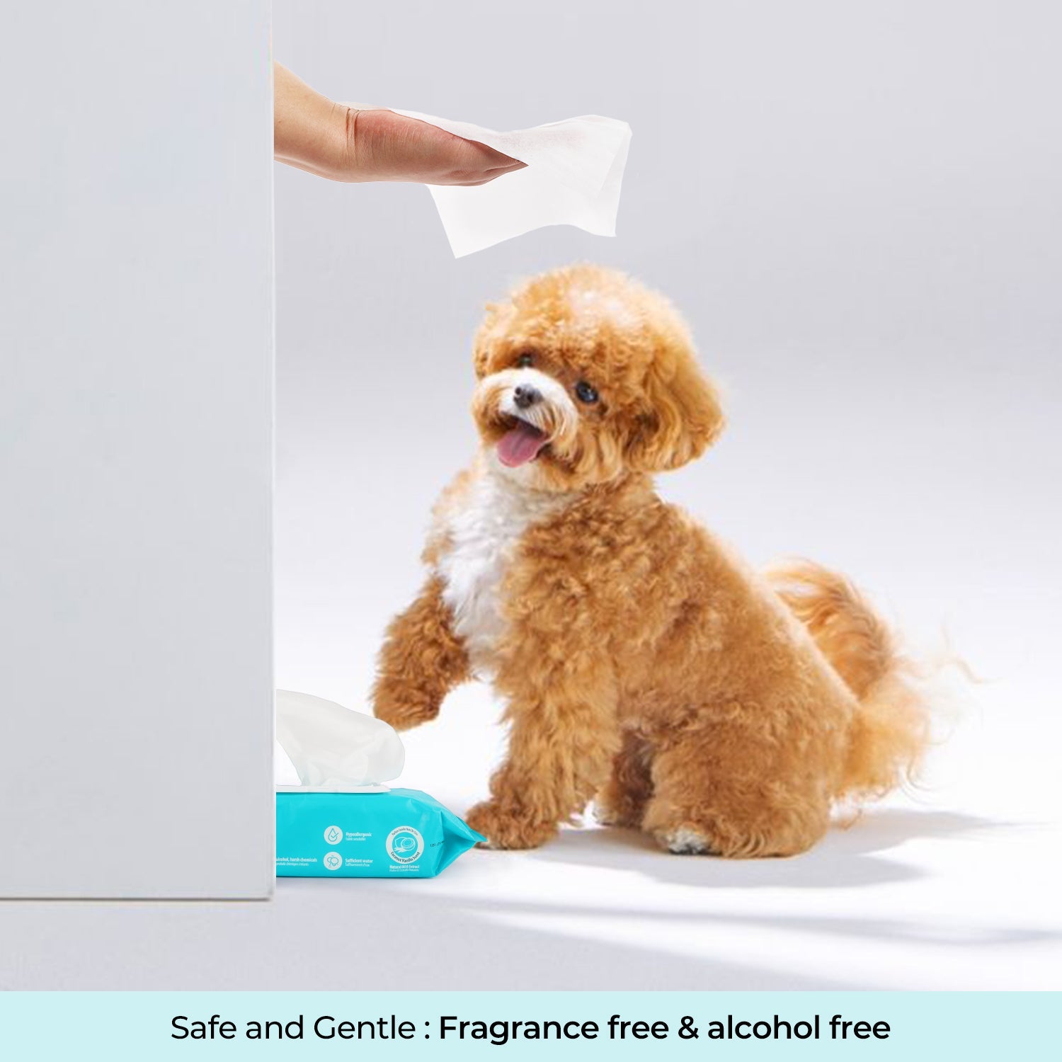 Coconut Oil Vanilla Extract Fragrance Free Alcohol-Free Pet Cleaning Wipes