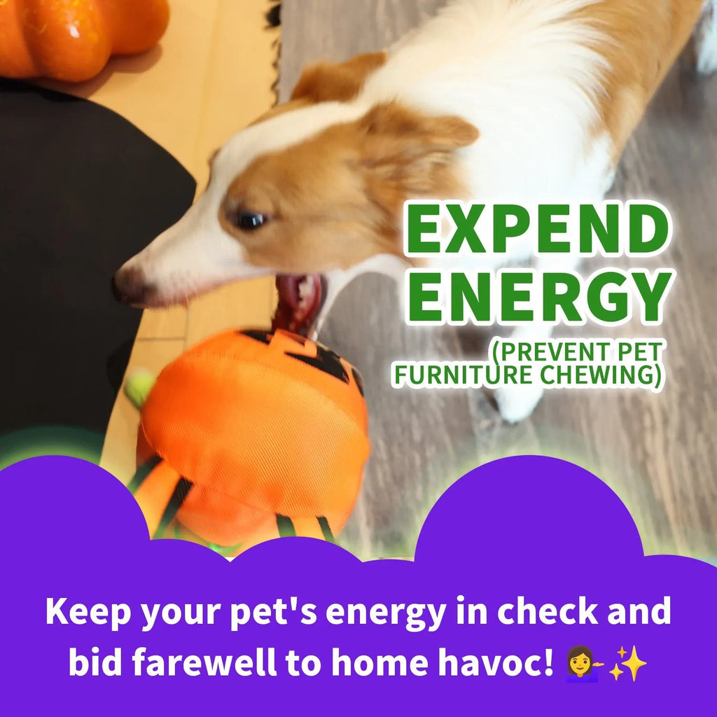 Halloween Handle Ballistic Pumpkin Ball For Dogs